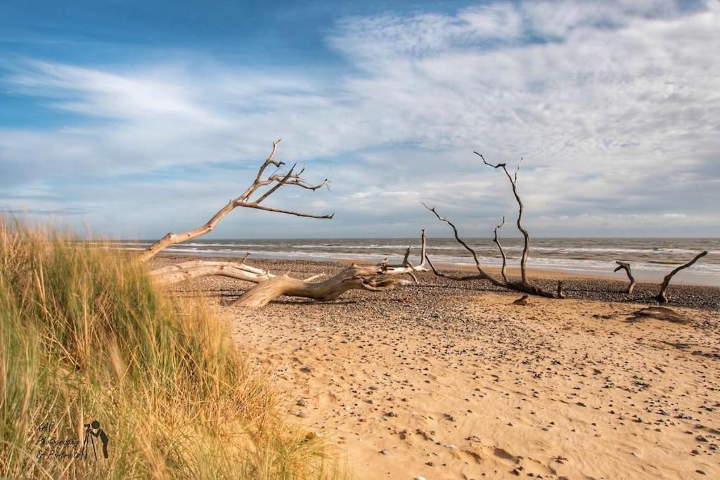Covehithe House-Coastal Luxury- Sleeps 12-With Huge Swimspa! Wrentham Exteriér fotografie